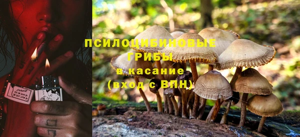 mdpv Ельня
