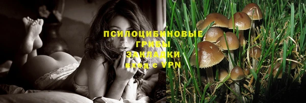 mdpv Ельня