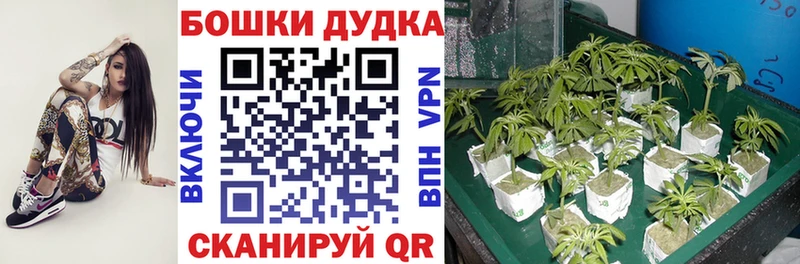 МАРИХУАНА LSD WEED Саяногорск